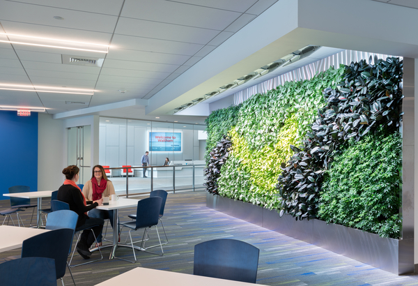 Hobbs Brook Management’s Commitment To Sustainable Building Drives LEED Platinum Certification For Margulies Perruzzi Architects-Designed Office
